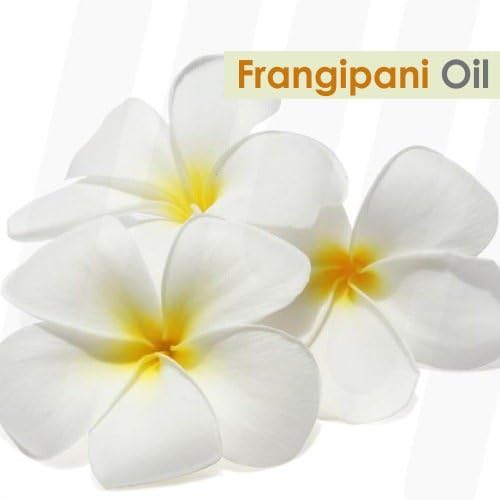 שמן שמן Frangipani Crysalis Frangipani | טהור וטבעי שמן אתרי לא מדולל תקן אורגני | מושלם לשמן